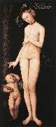 CRANACH, Lucas the Elder Venus and Cupid dsf Spain oil painting reproduction